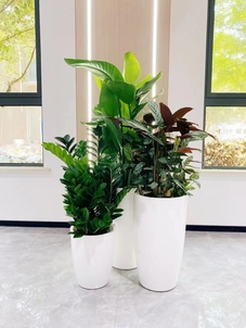 宁波奉化绿化修剪哪家强？专业团队等你来瞧